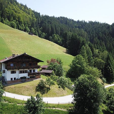 Schoners Einfanghof By Fewo-Planwild006 Niederau Bagian luar foto