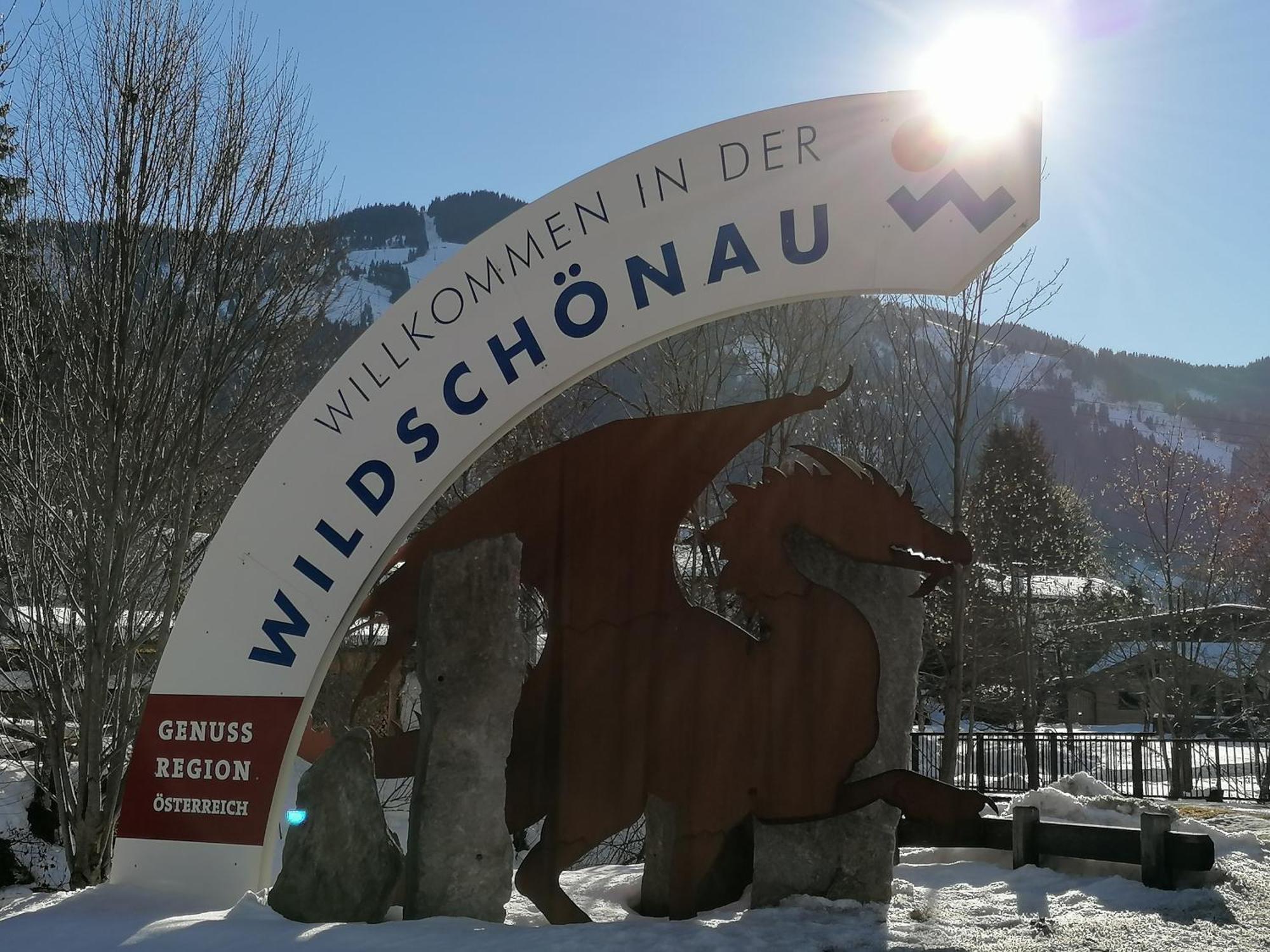 Schoners Einfanghof By Fewo-Planwild006 Niederau Bagian luar foto